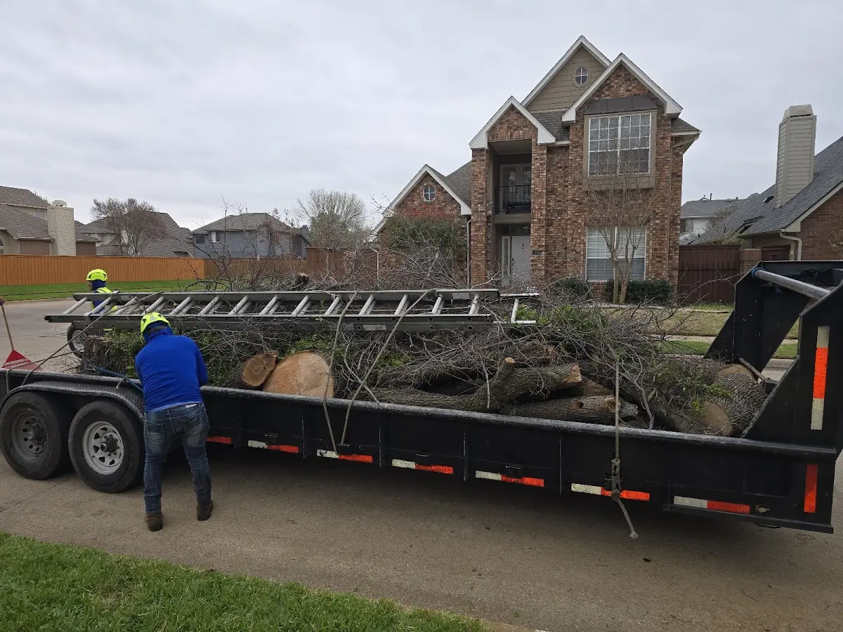 Expert Lot Clearing with proper safety equipment in Arnold